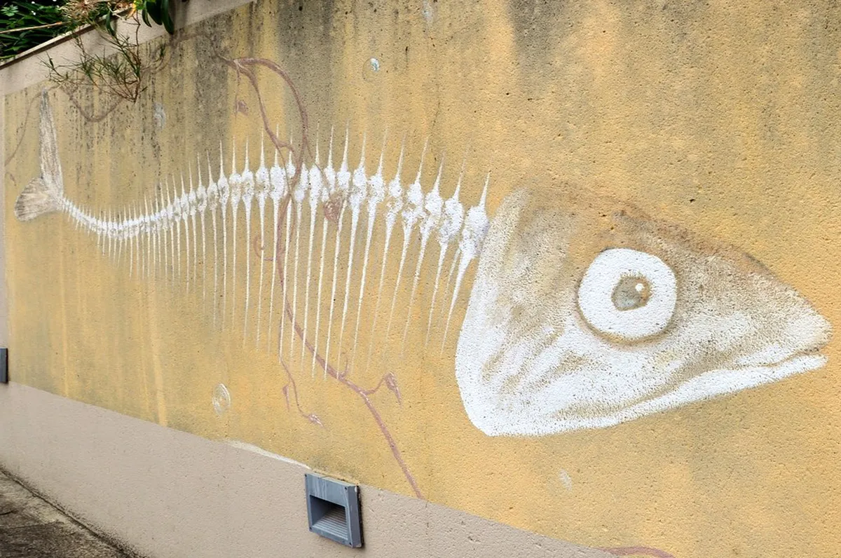 Coimbra Market Etiquette: Your Essential 2025 Guide