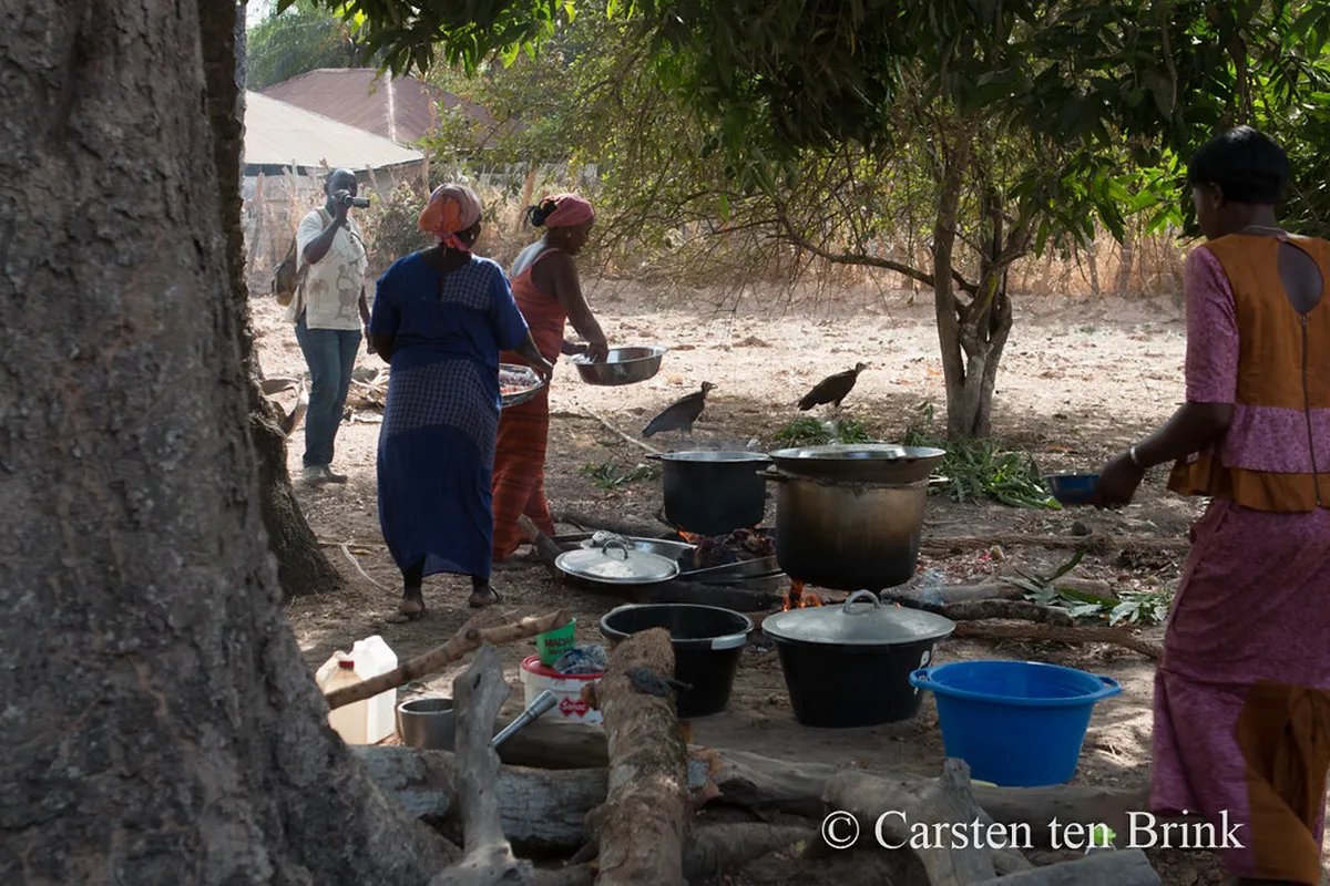 Master Portuguese Cooking in Coimbra 2025