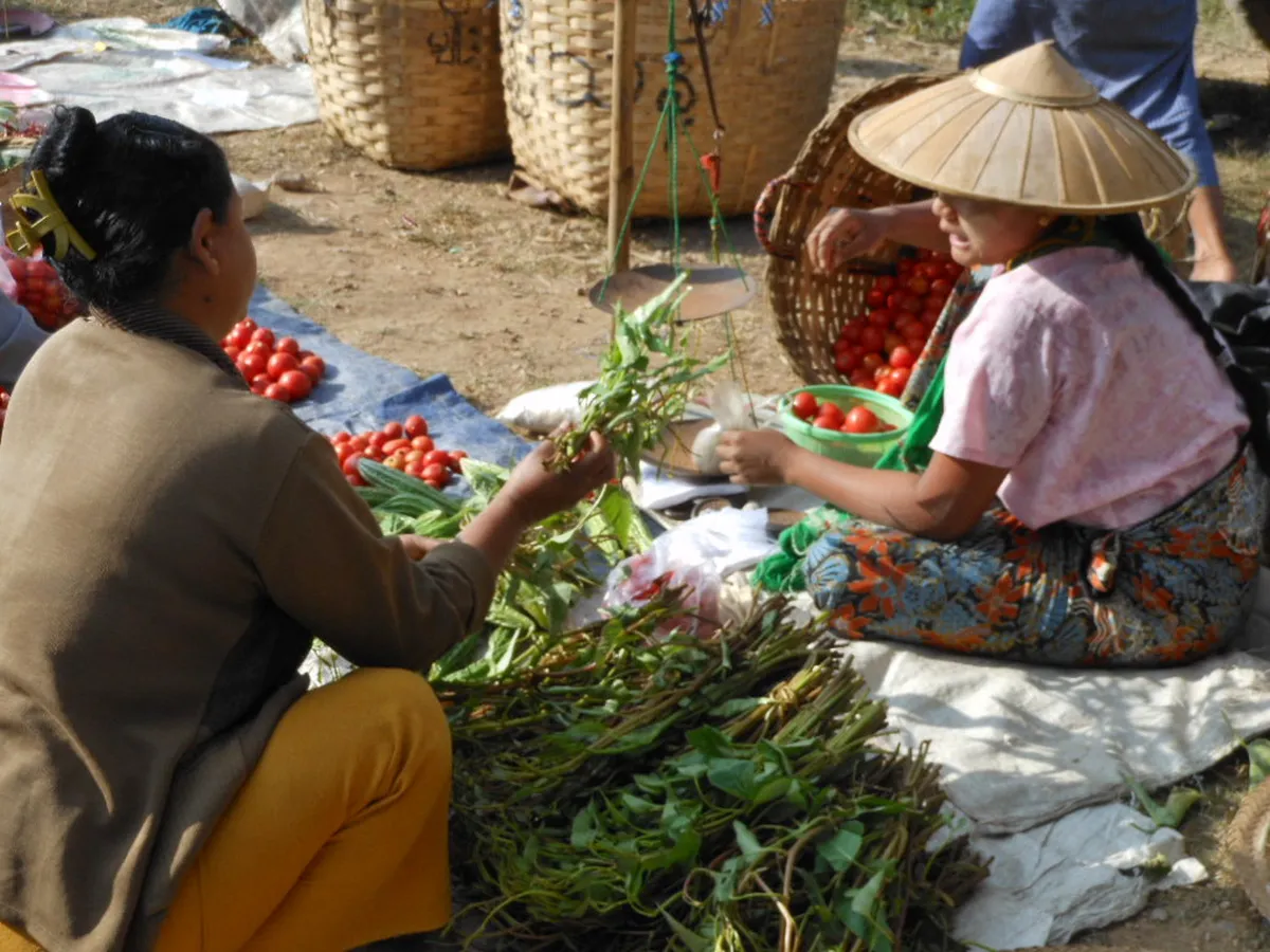 Master Negotiating Prices at Coimbra Markets in 2025