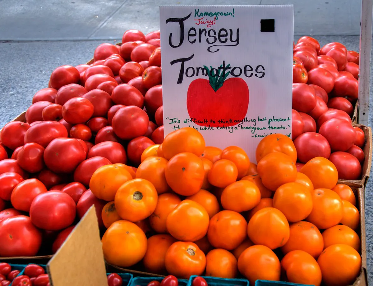 What to Buy at Mercado Coimbra: Your 2025 Shopping Guide