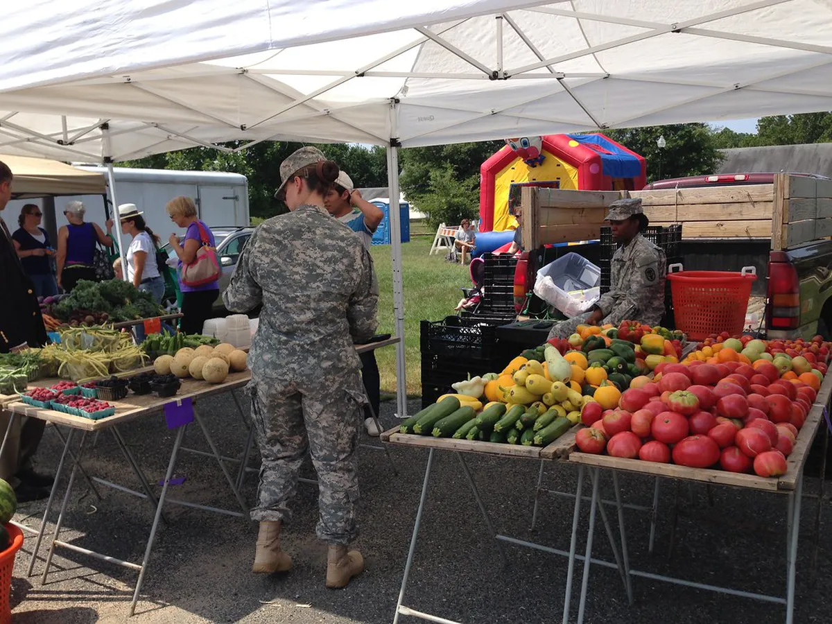 Évora's Best Food Stalls: A Culinary Journey for 2025