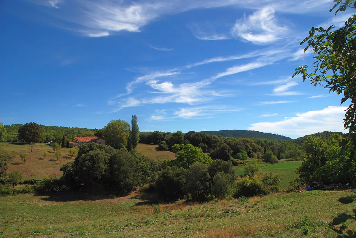 Where to Find Évora Street Food: A 2025 Guide