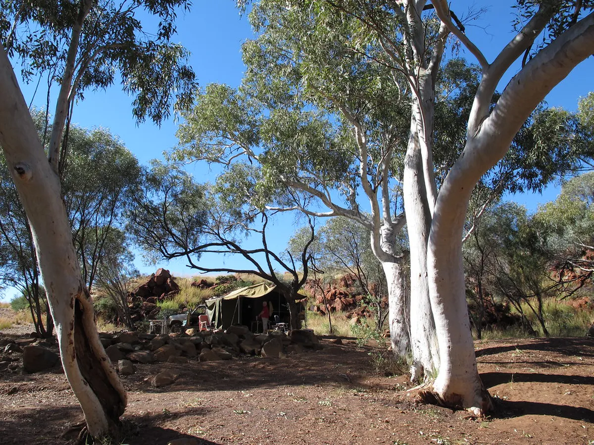 Discover Delicious Plant-Based Options at Faro Food Halls in 2025