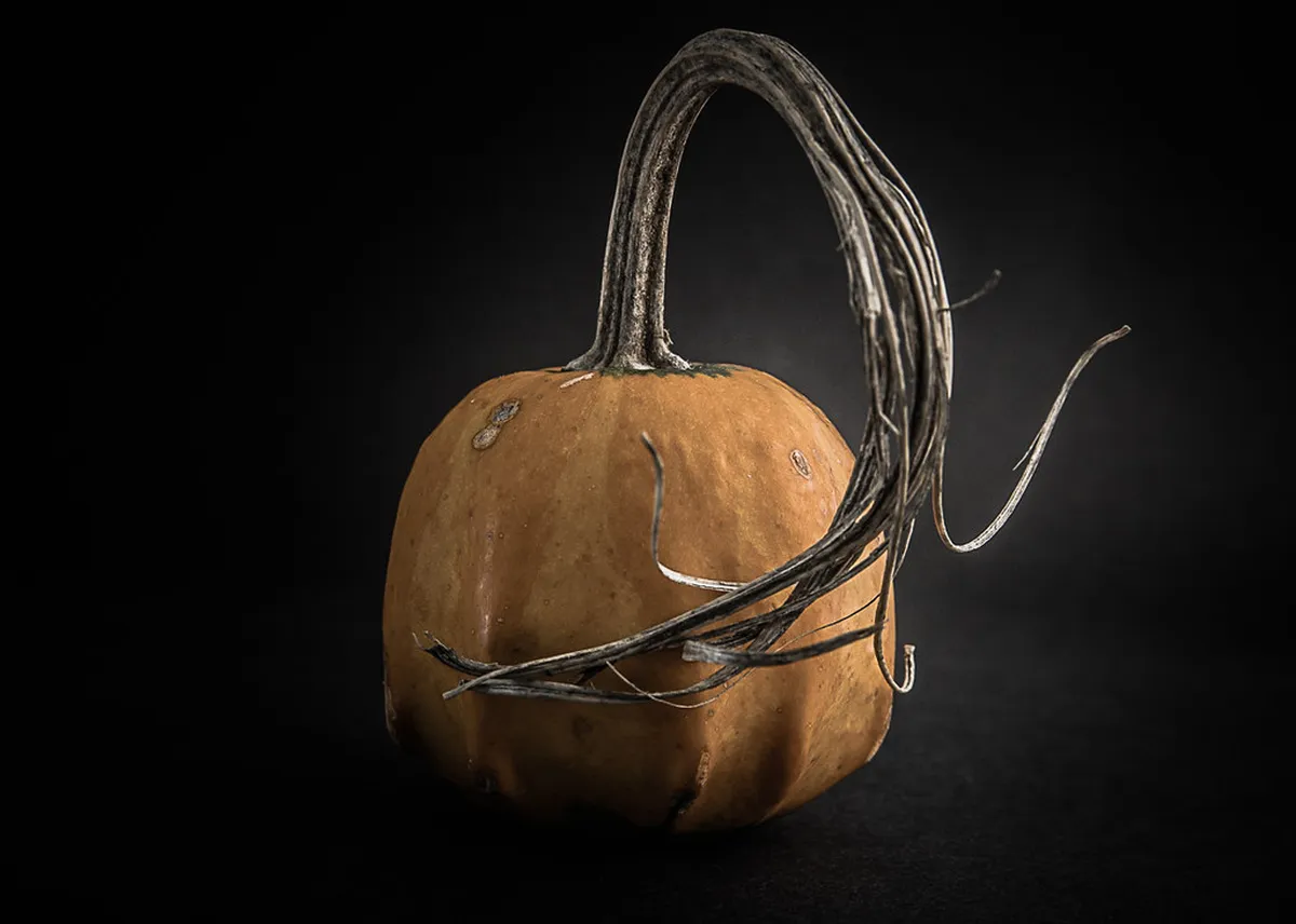 Discover Seasonal Fresh Produce at Faro Market in 2025