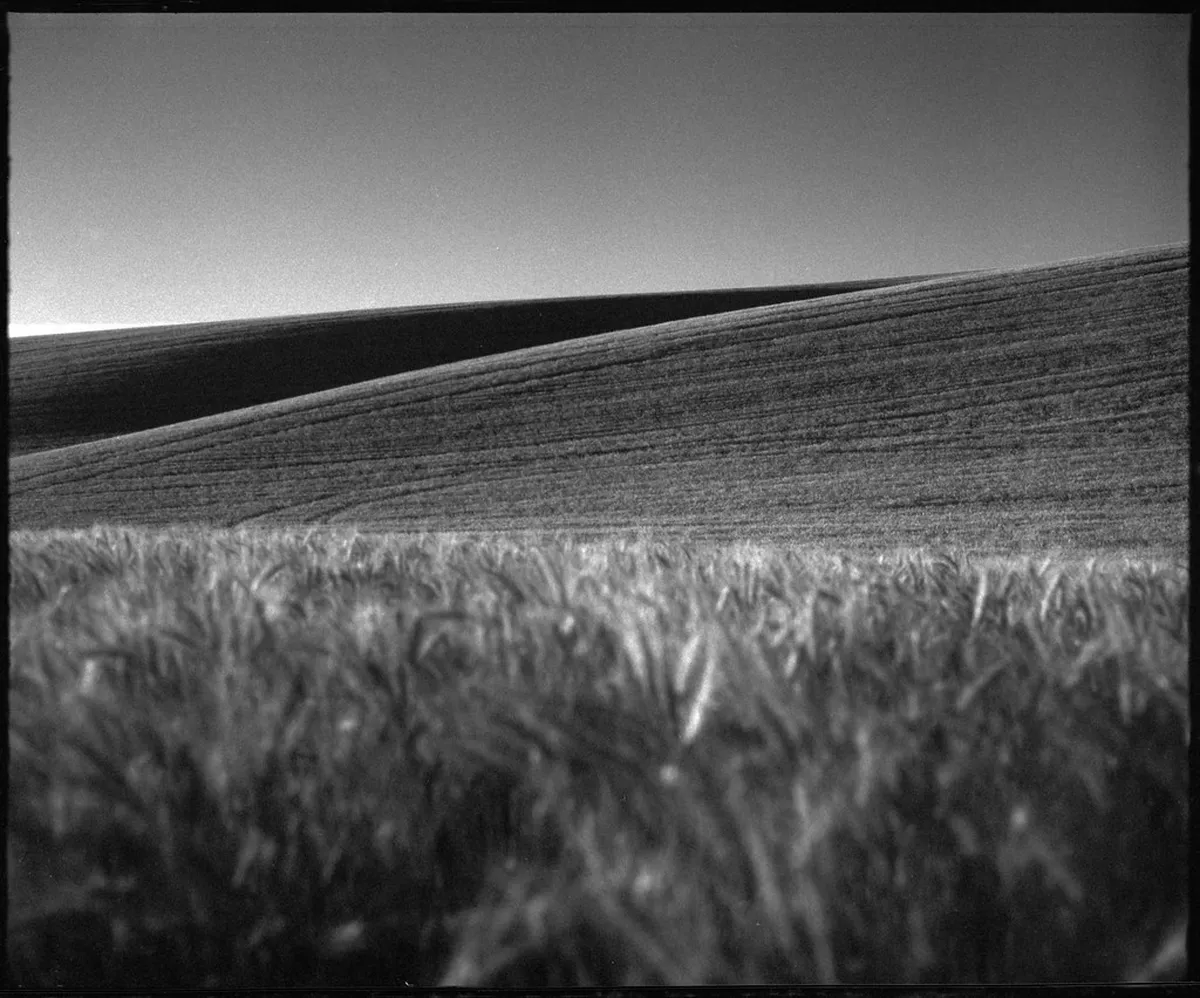 Discover Vegan Options at Faro Markets in 2025