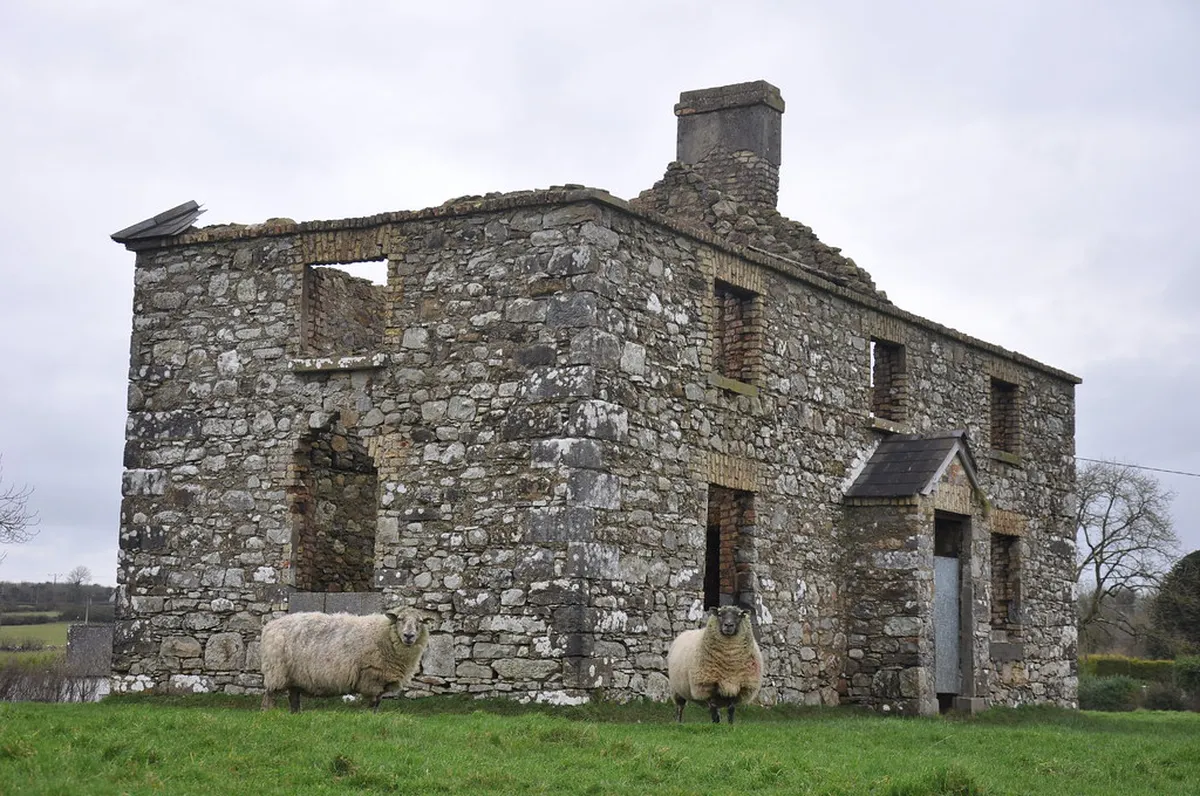 Explore Authentic Local Markets in Lisbon 2025