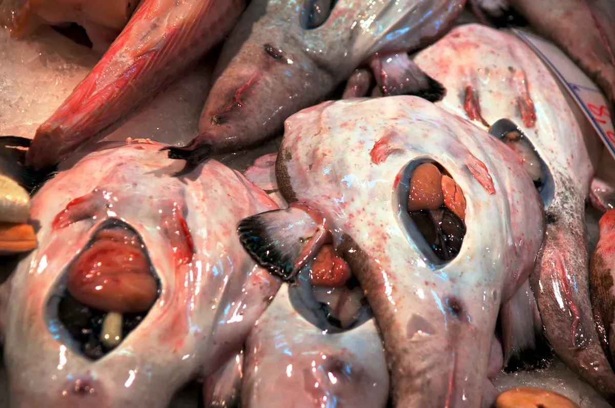 Explore Lisbon's Best Markets and Food Halls in 2025