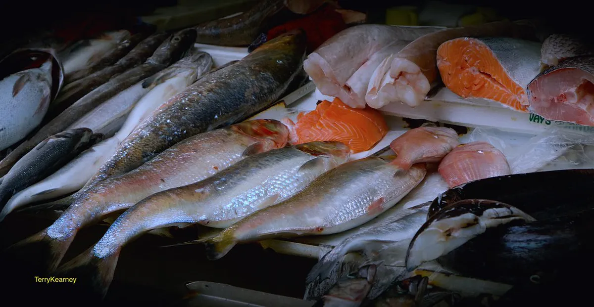 Book Porto Market Food Experience 2025: Culinary Guide