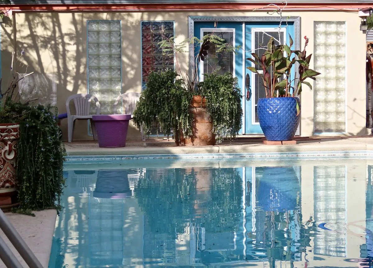 Book Your Portuguese Cooking Class in Porto Today