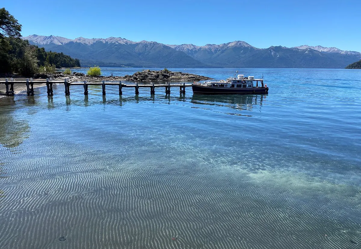 Unique Porto Souvenirs to Buy in 2025